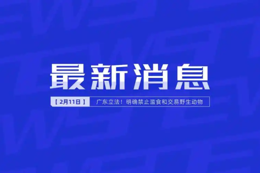谷歌浏览器使用穿戴环境时的同步设置